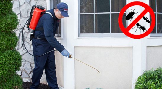 Uluborlu Gümüşkurt İlaçlama böcek ilaçlama ve haşere kontrolü — ilaclama-tr.com